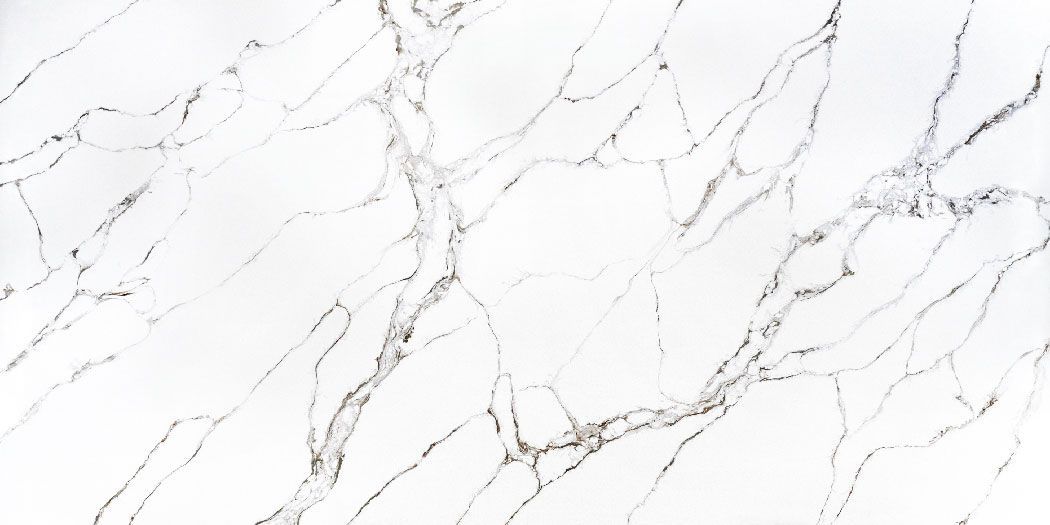 White marble slab with grey veining.