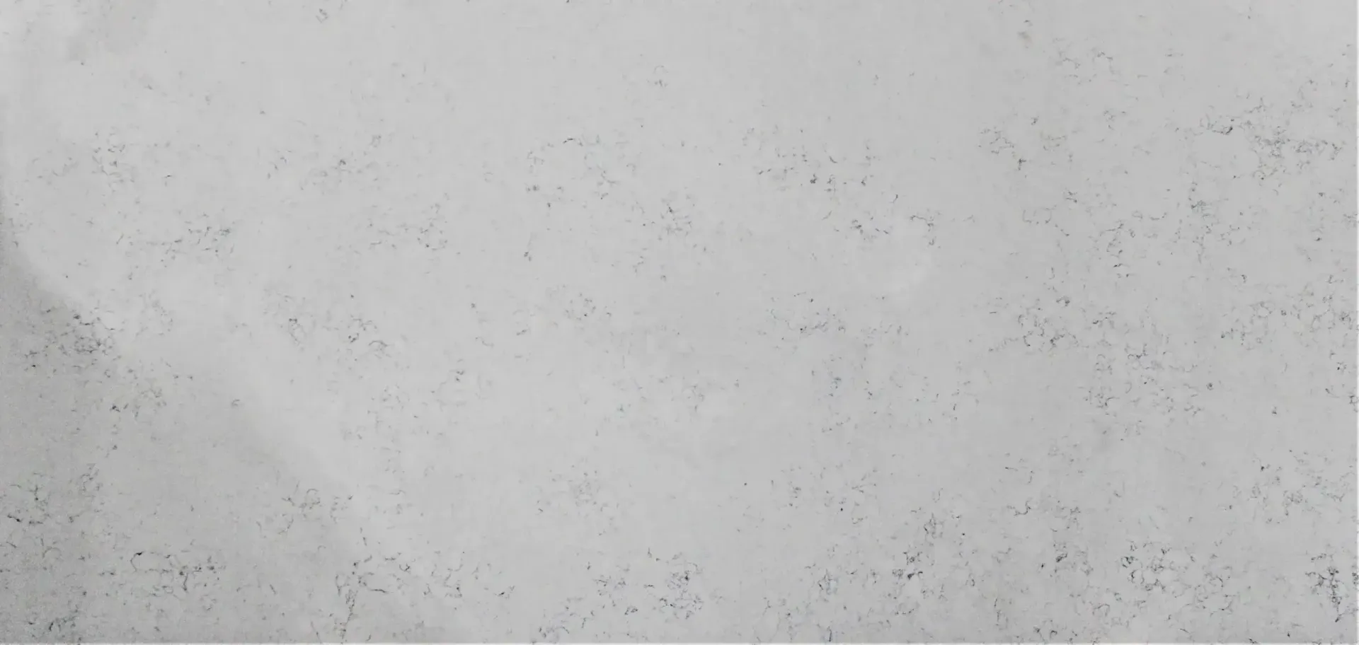 A textured, monochrome background with dark spots scattered throughout.