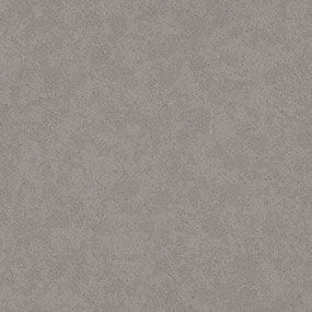 Gray, textured surface.