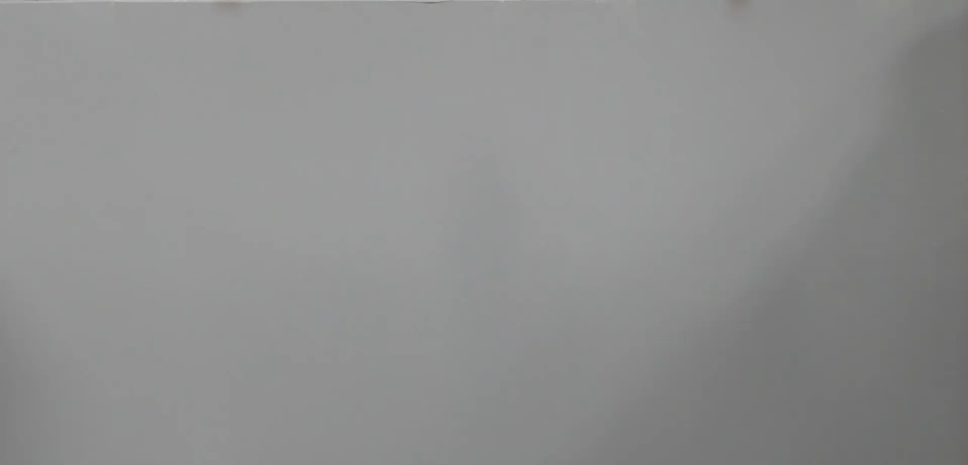 A plain, slightly textured, gray background.