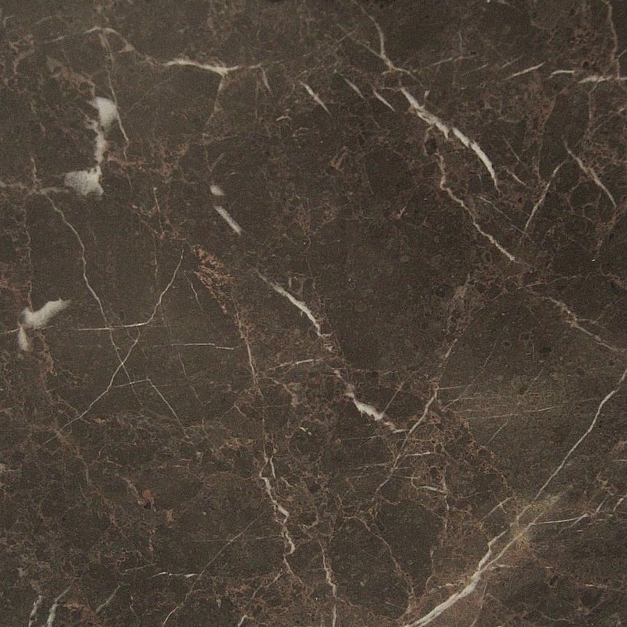 Dark brown marble with white and reddish veining.