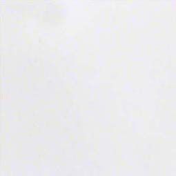 Solid white background.