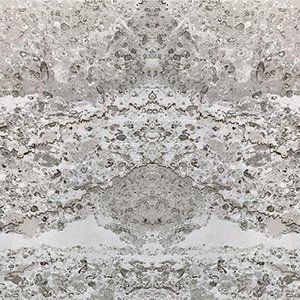 Abstract symmetrical pattern with gray and white speckled details.