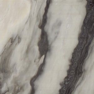 White marble with dark gray veining.