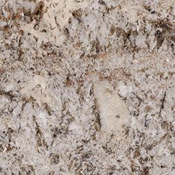 Light-colored granite countertop with mottled patterns, speckled with beige and dark brown flecks.
