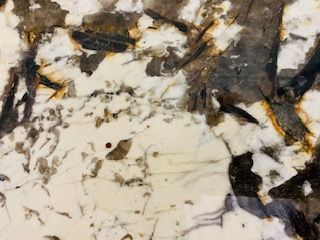 White granite countertop with dark brown, black, and gold veining.