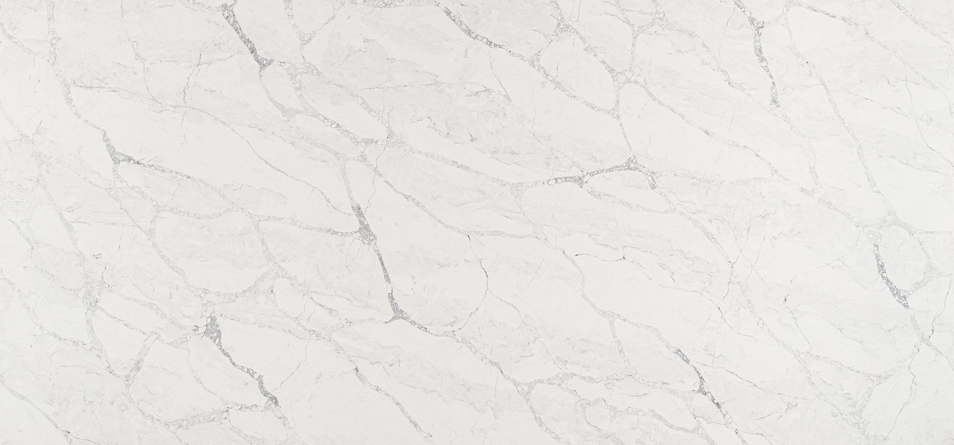 White marble countertop with gray veining.