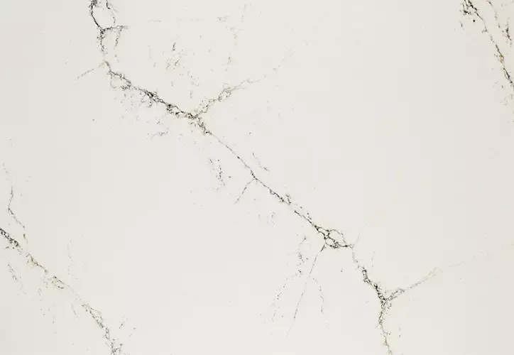 White marble surface with dark grey veining patterns.