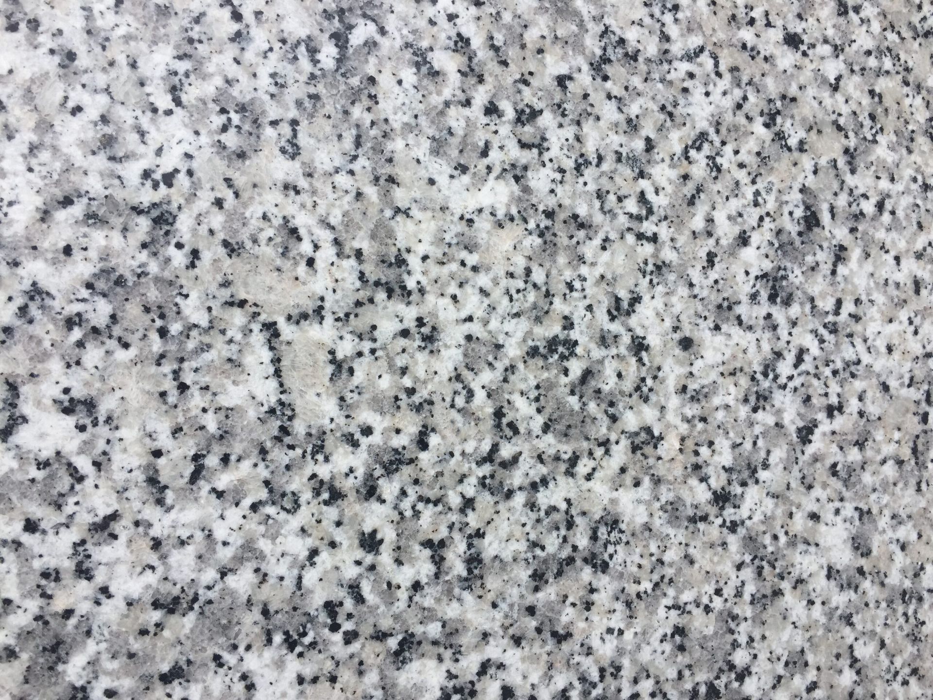 Close-up of gray and white granite with small black flecks.