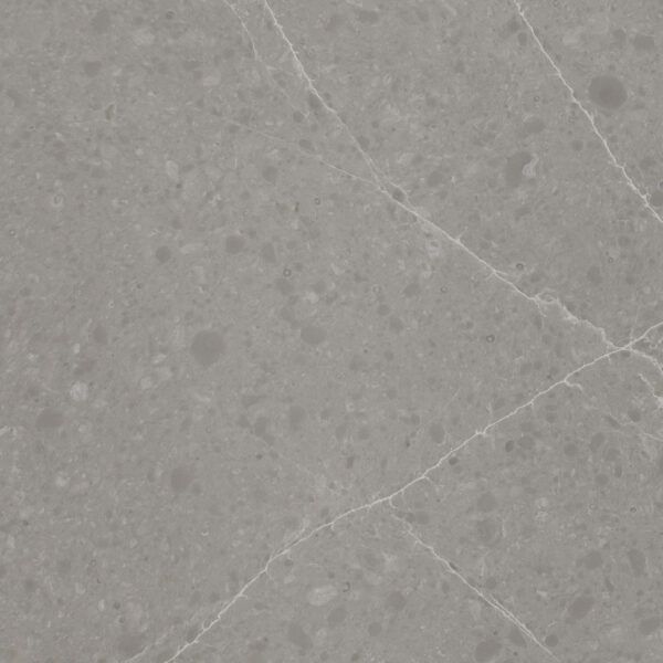 Gray speckled stone surface with thin white veins.