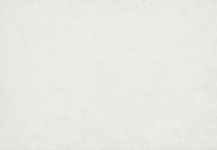 White, textured background.