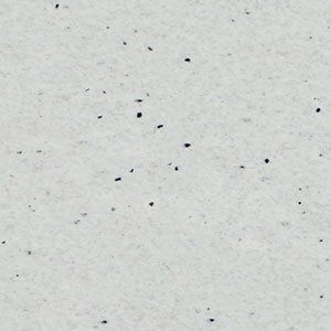 Light gray speckled paper texture.
