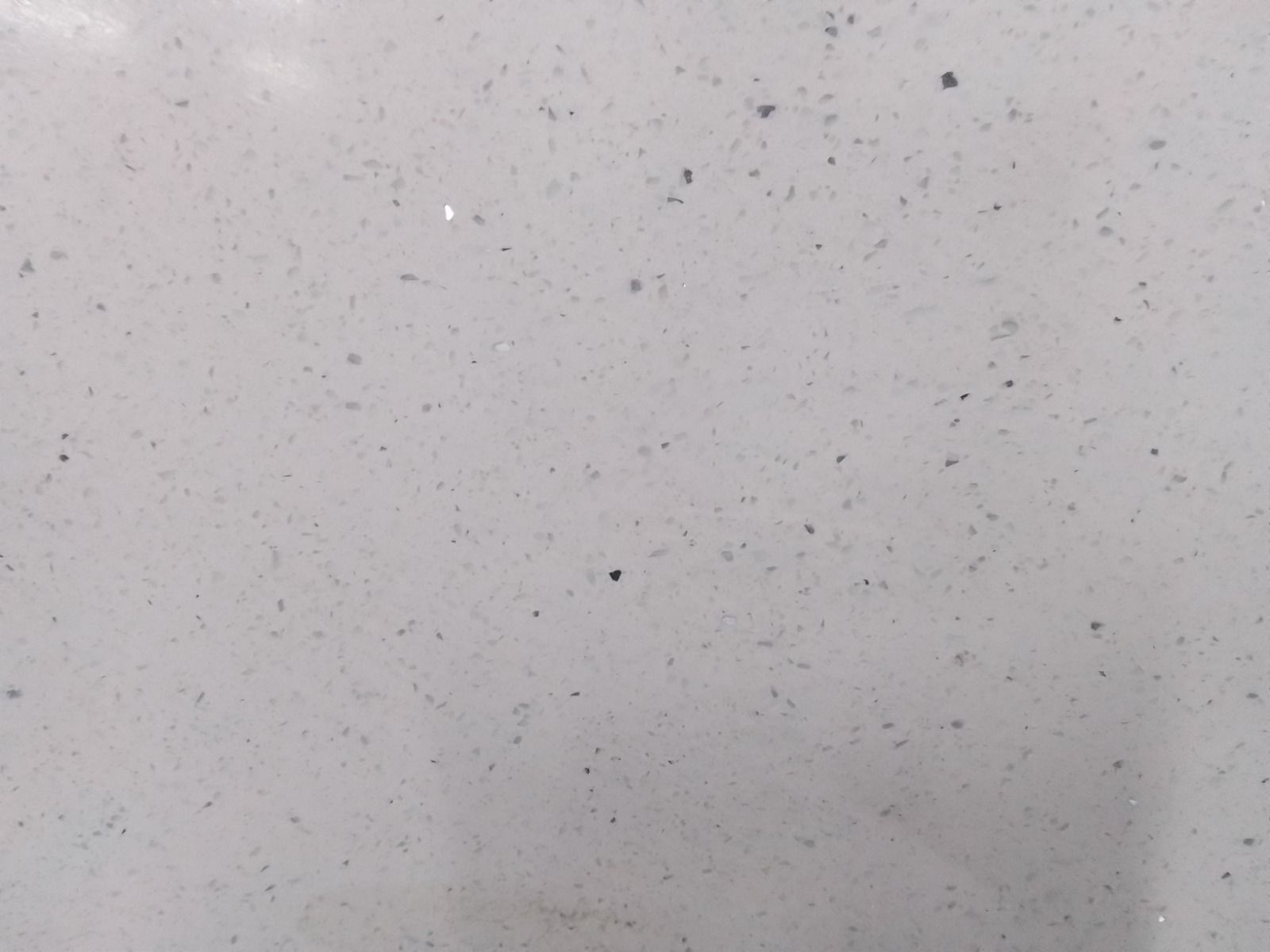 Speckled white surface with small dark flecks.