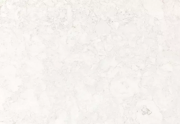 White and light gray marble-like background with subtle patterns and textures.