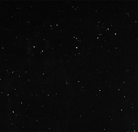 Night sky with scattered bright stars.