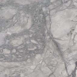 Gray and white marble surface with veining and textural patterns.