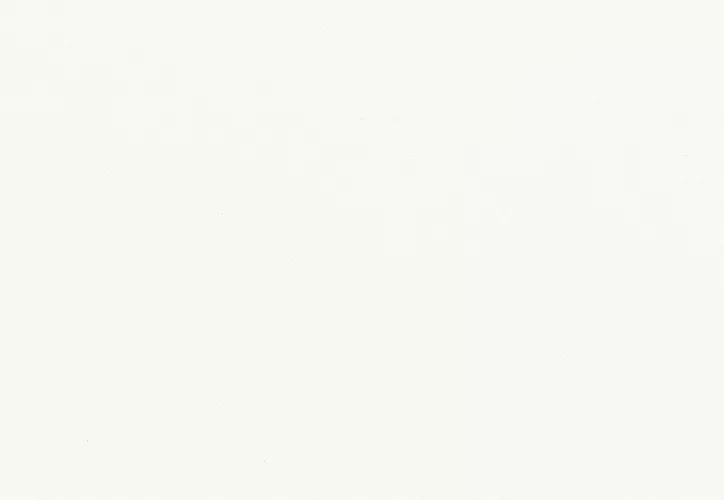 Creamy white background.