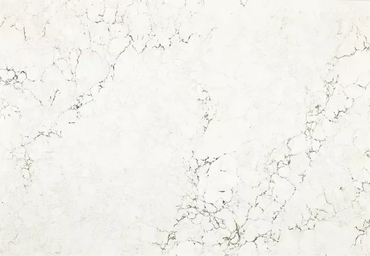 White marble countertop with gray veining.
