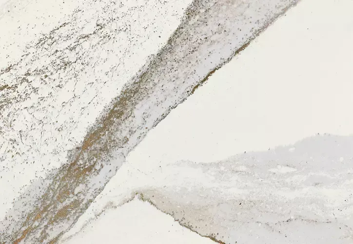 White marble with gray and gold veining, a close-up abstract pattern.