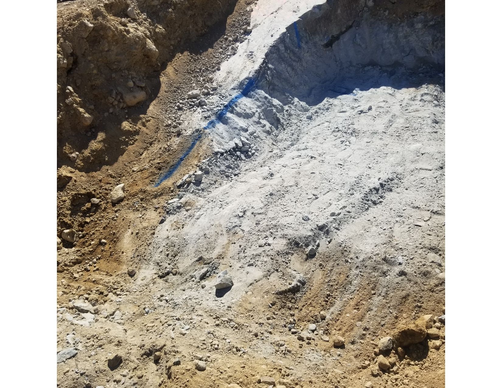 Whitish substance on brown earth, possibly chemical.