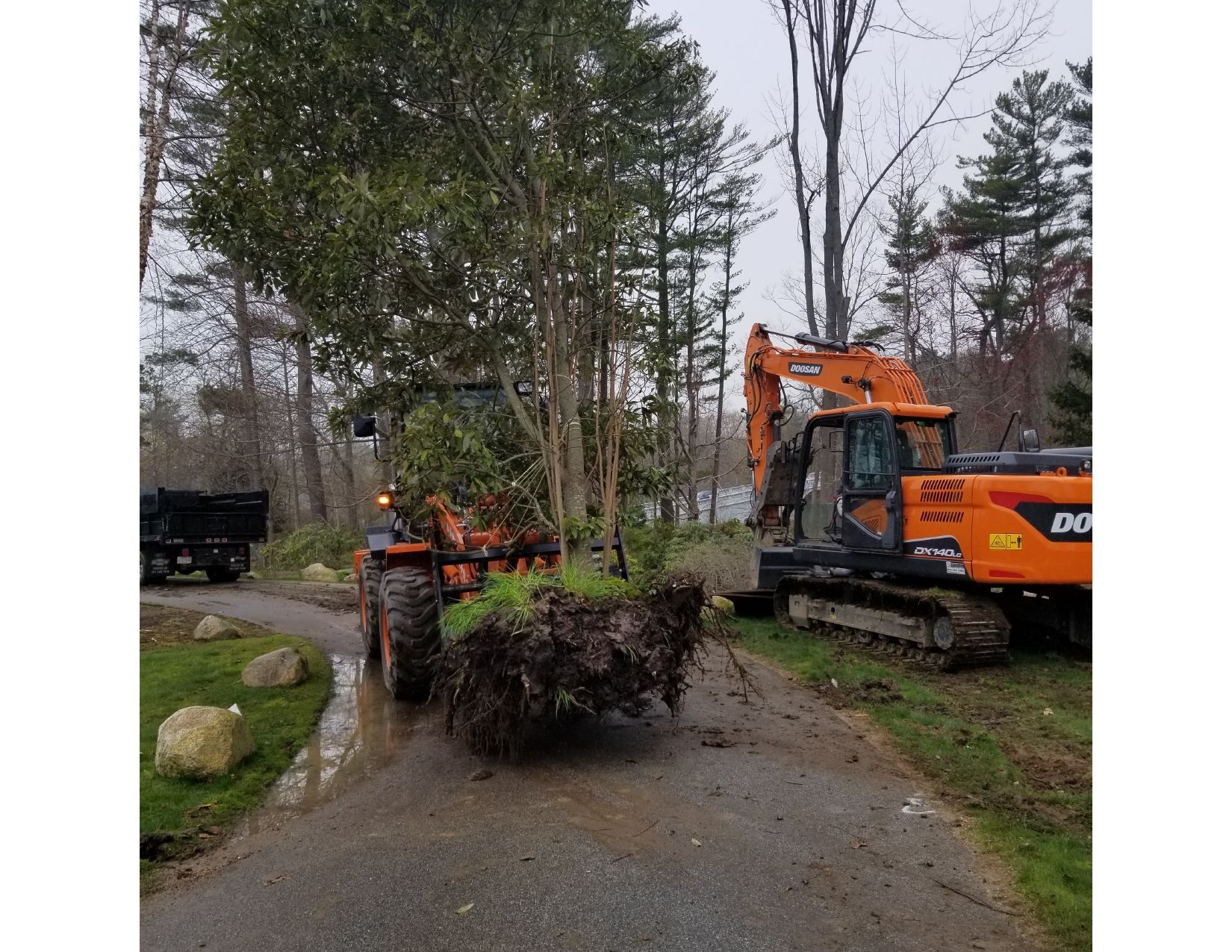 Orange tractor carrying uprooted tree; excavator and dump truck on paved road near a wooded area.