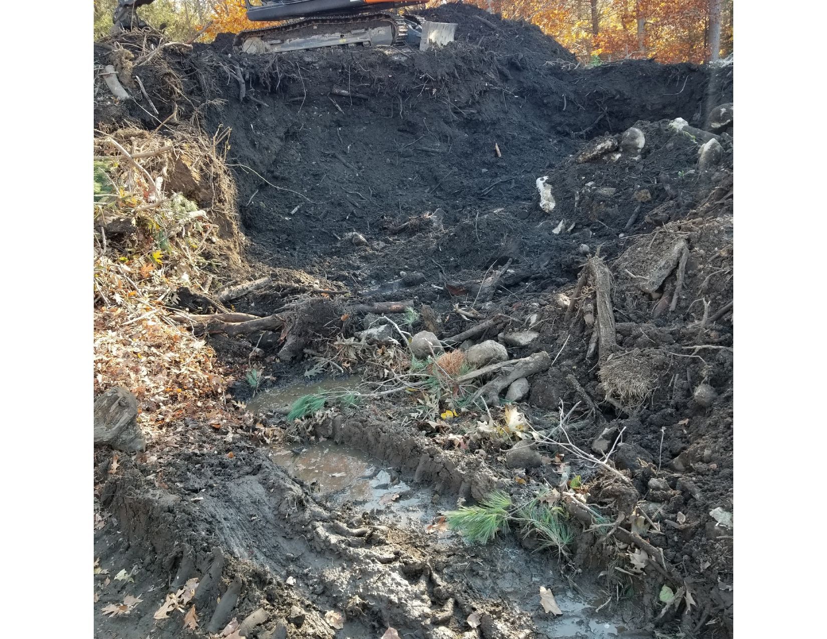 Dirt pile with an excavator in a wooded area.