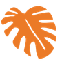 Orange monstera leaf with cutouts.