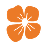 Orange flower with white center and petals.