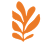 Orange leaf-like shape.