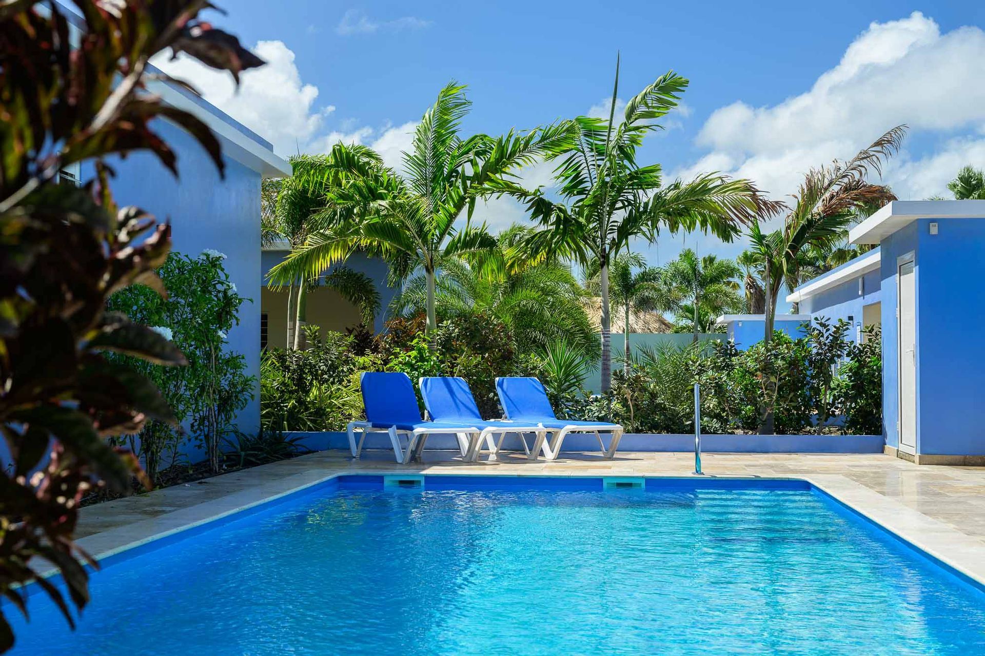 Swimming pool with three blue lounge chairs, surrounded by palm trees and blue buildings under a cloudy sky.
