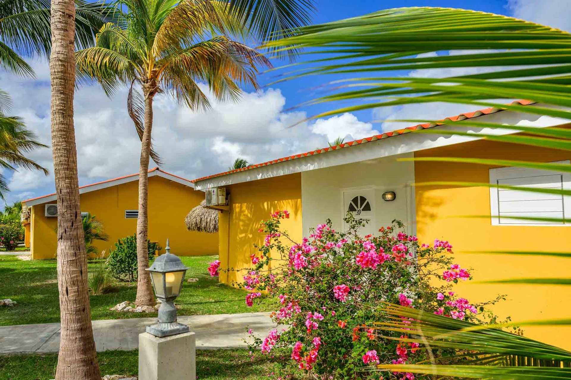 Yellow bungalows with white trim and pink flowers under palm trees, sunny day.