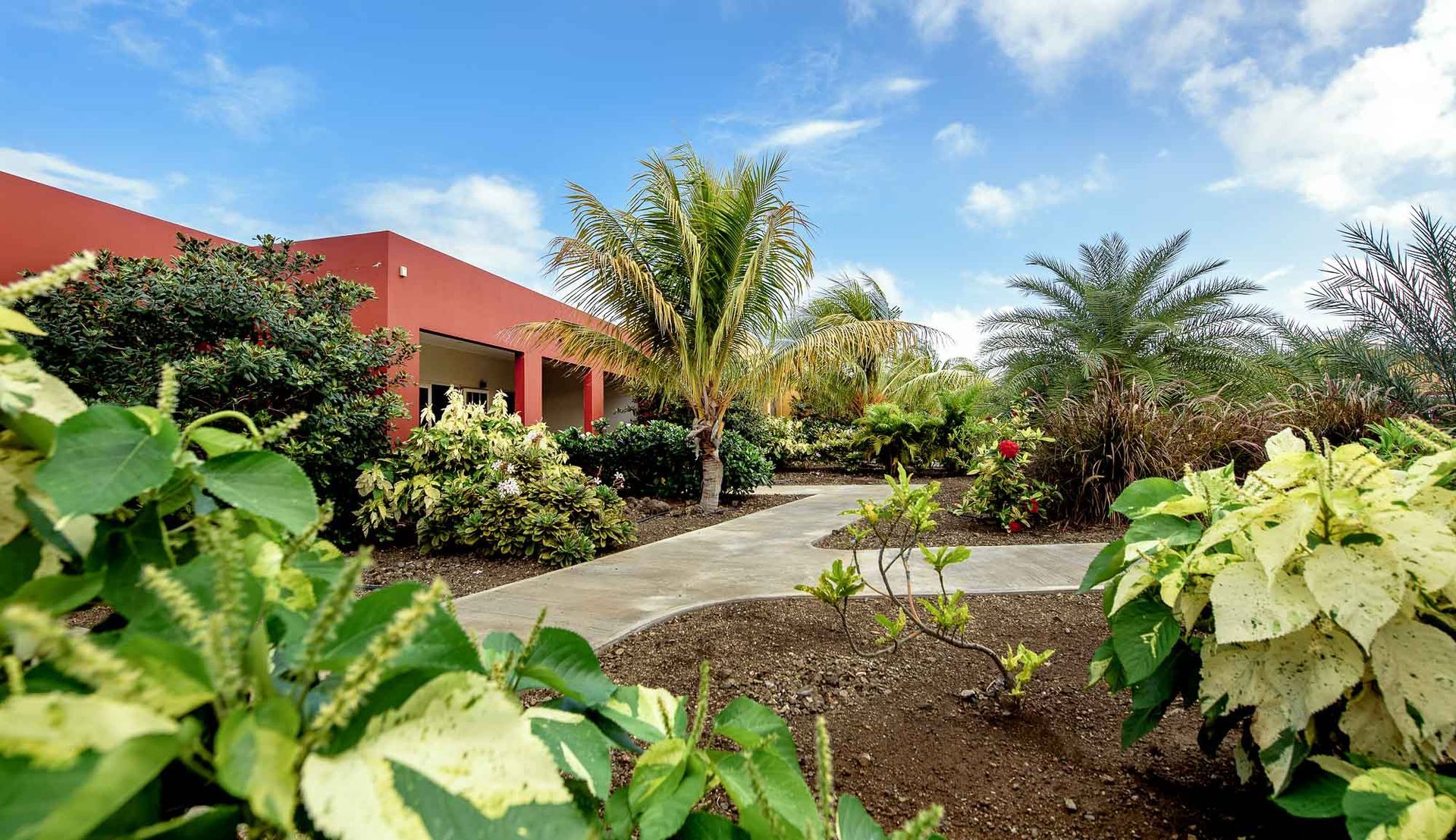 Path through a lush tropical garden leading to a red building under a blue sky.