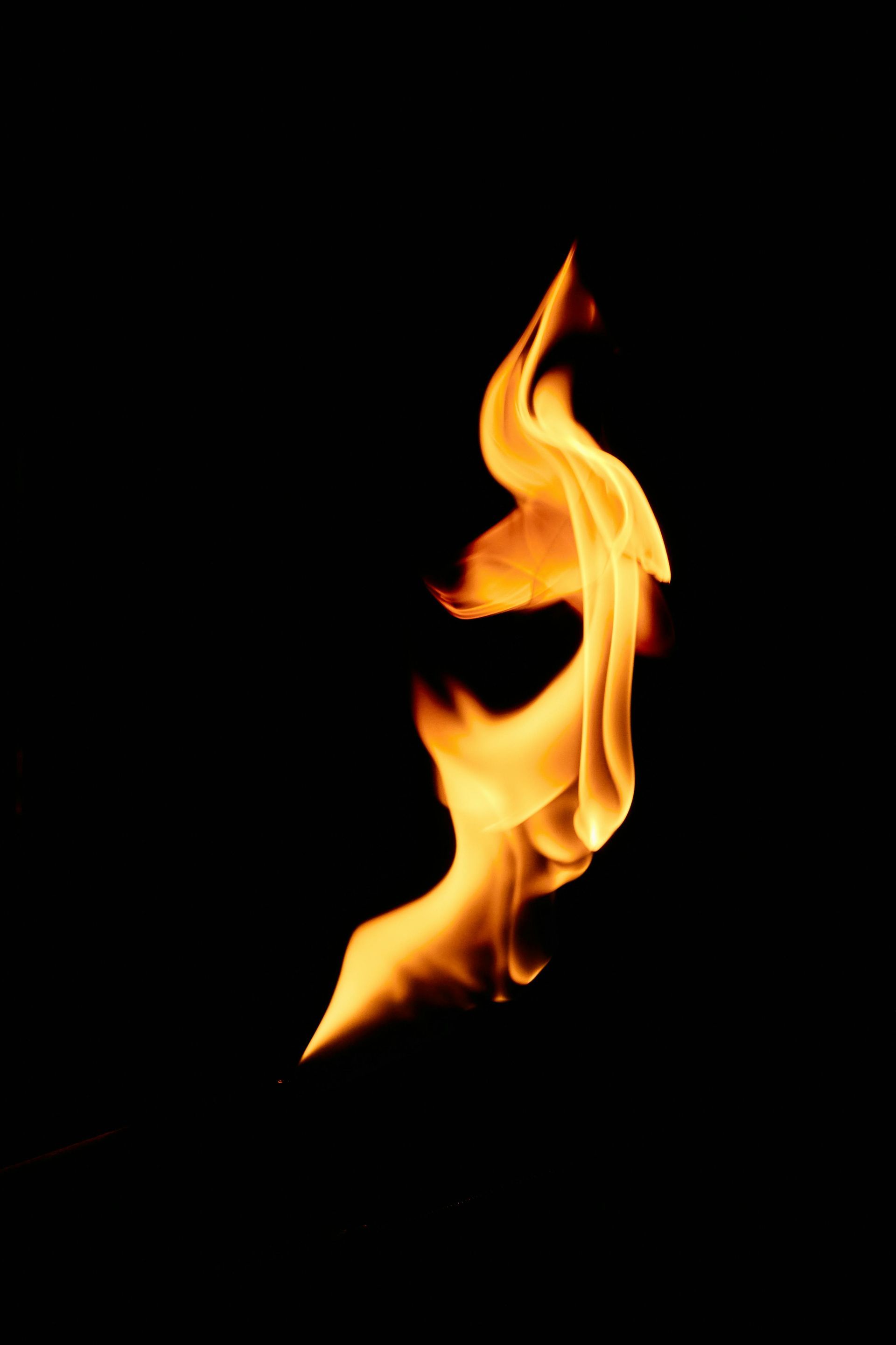 Inflammaging is like a fire burning in your body and brain