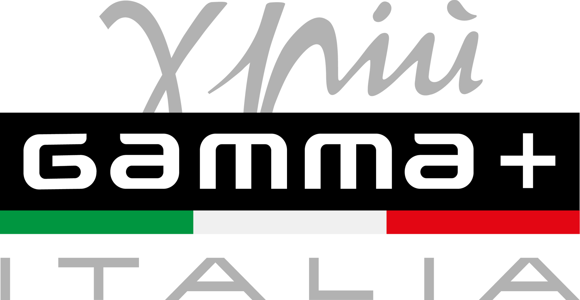 A logo for gamma italia is shown on a white background.