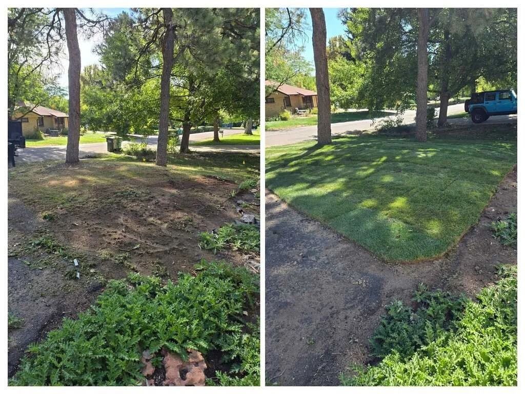 Before-and-after yard comparison: bare dirt on the left, greener grass on the right, with trees and a parked SUV.