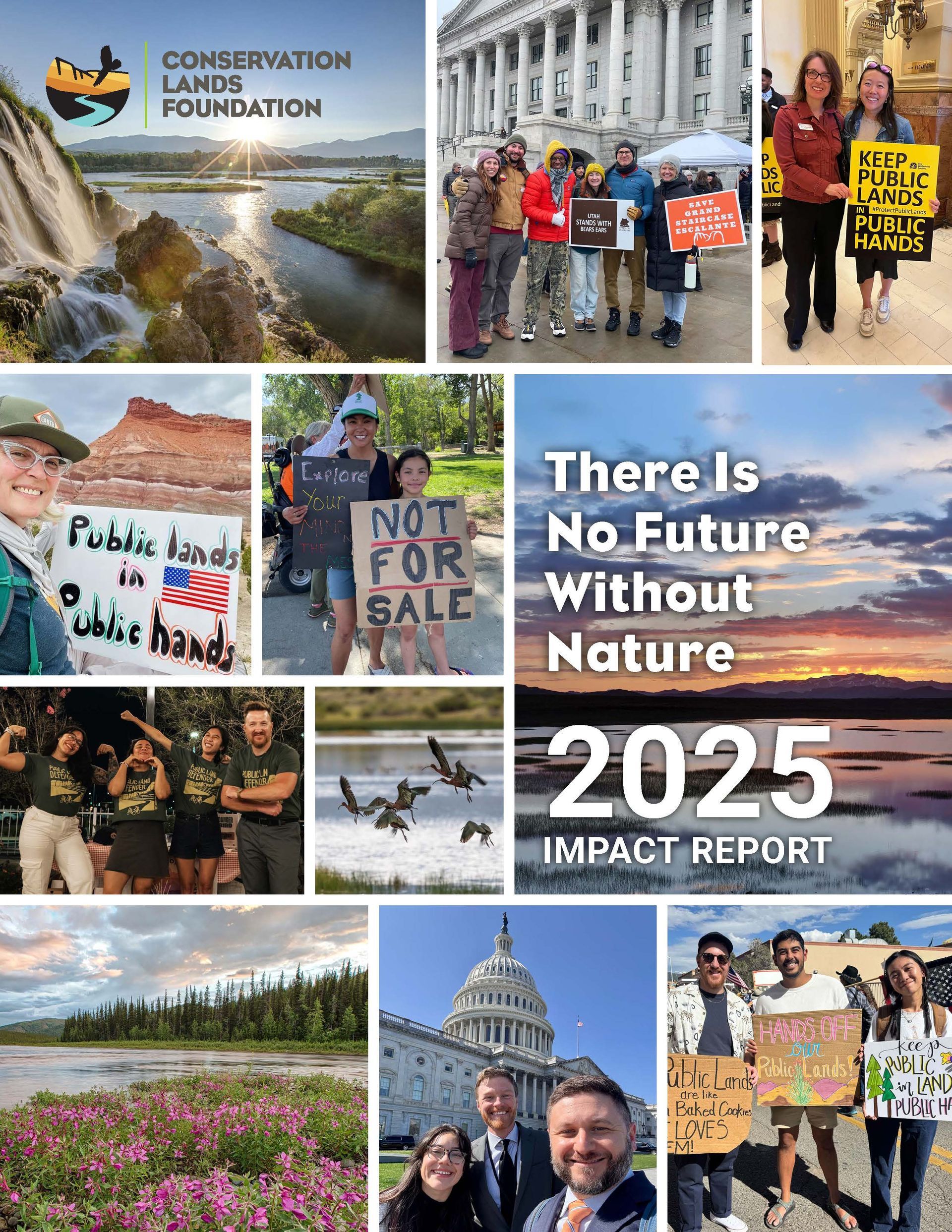 Cover of 2025 Impact Report. People at rallies, landscape images. 