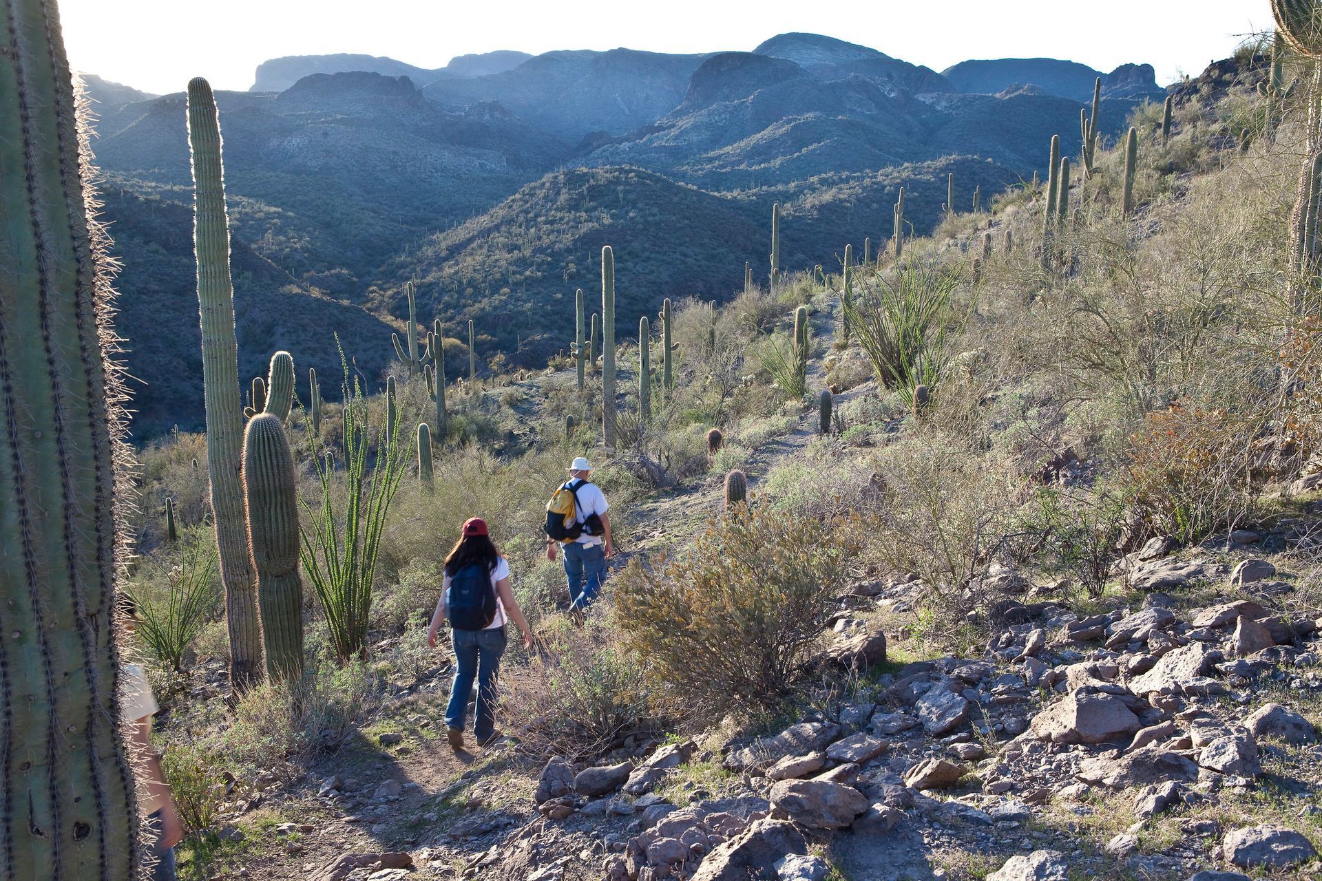 Hikers in a desert wilderness area