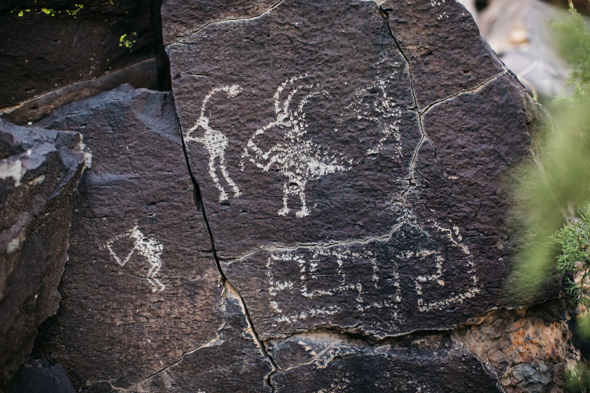 Scenic view of protected conservation lands managed by the Bureau of Land Management, showcasing the beauty of public lands and natural resources.