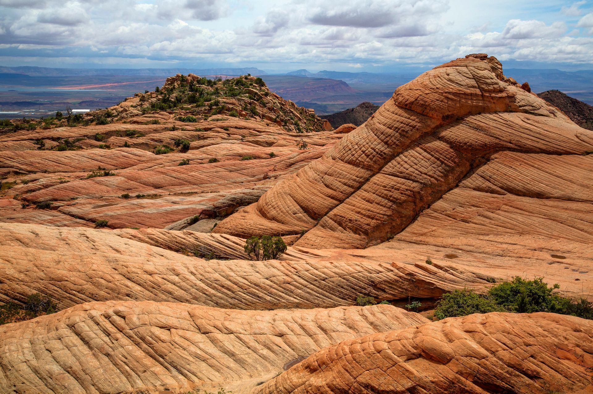 Cliffs at Red Cliffs National Conservation Area