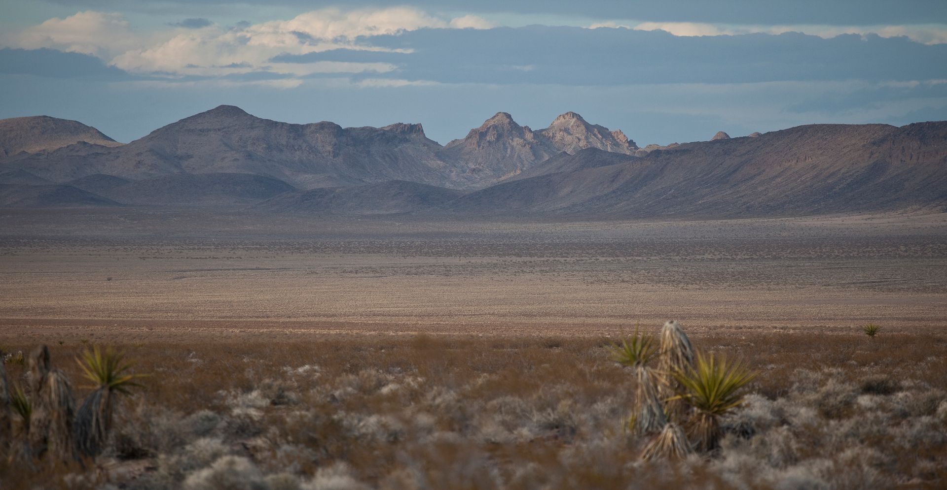 landscape of desert mountains