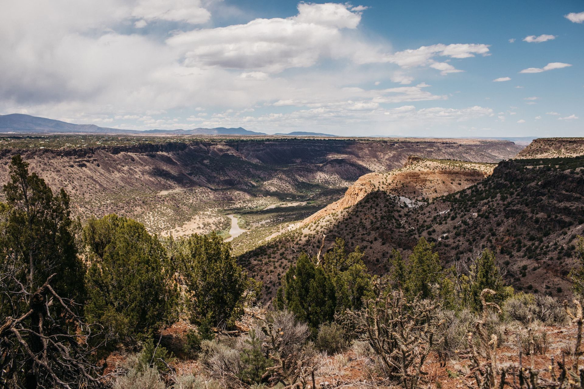 Native wildlife thriving in federally protected areas, supporting ongoing efforts in wildlife conservation and environmental protection.
