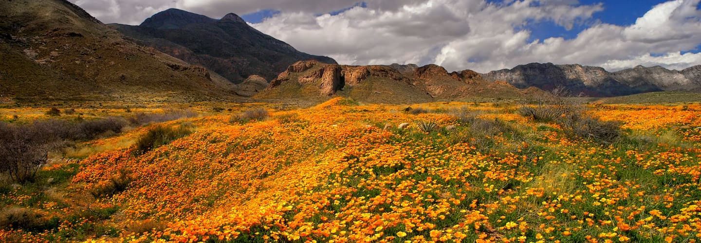 Statement on Introduction of “Home-Grown” Castner Range National ...