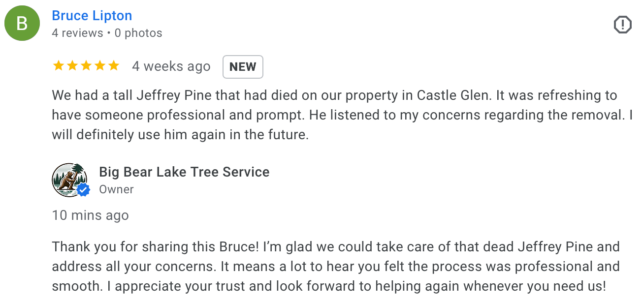 Five star review of tree removal in Big Bear Castle Glen with fast service and excellent results.