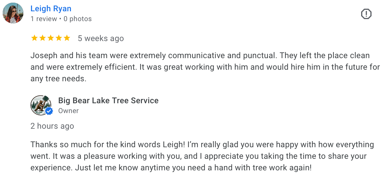 Screenshot of Running Springs customer review recommending tree service for efficiency and professionalism.
