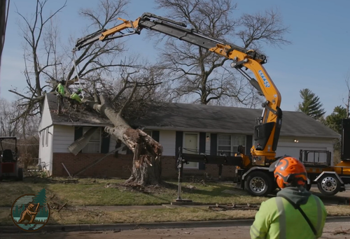 Tree professionals from Big Bear Lake Tree Service are working in Running Springs, CA, using a crane to do an emergency tree removal of an old oak that fell on a residential home.