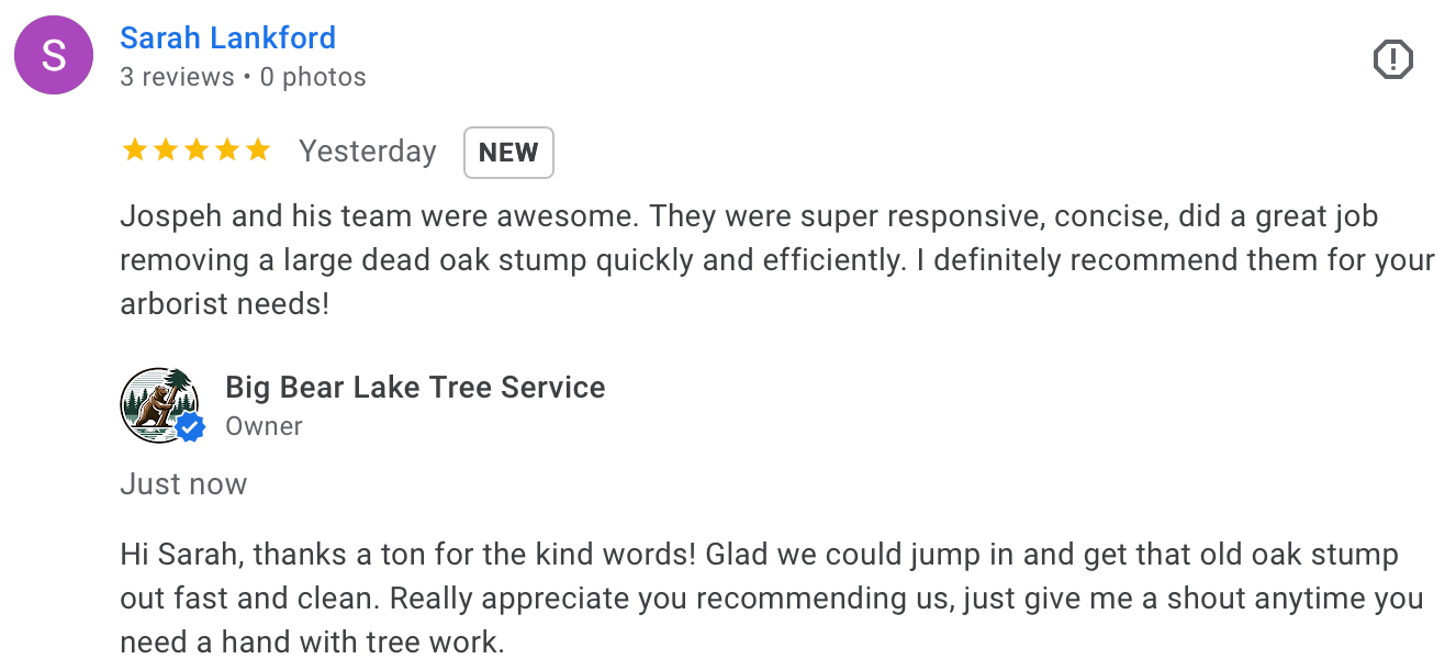 Screenshot of five star customer review praising Lake Arrowhead tree service for professional and prompt work.