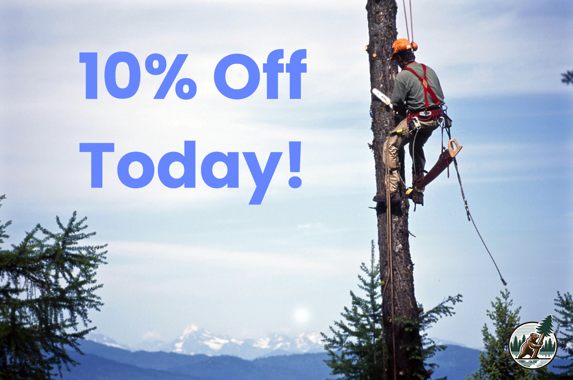 Licensed tree trimmer climbing a pine tree with Snow Summit ski slopes visible in the background in Big Bear Lake, California.