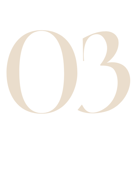 The number 03 is on a white background.