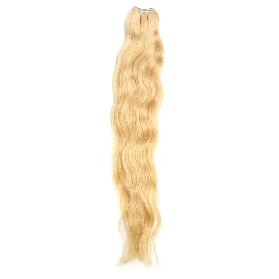 A close up of a piece of blonde hair on a white background.