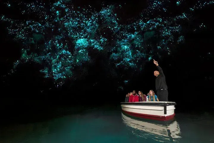 The glowing ceiling of Waitomo Glowworm Caves in New Zealand